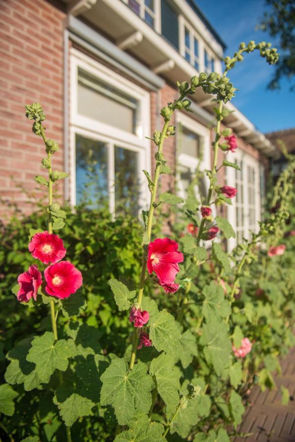 Broeks' Bed En Brood Bed & Breakfast Мееркерк Екстериор снимка